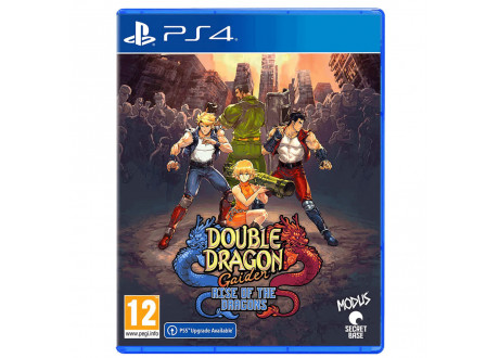 Double Dragon Gaiden Rise of the Dragons [PS4, английская версия]