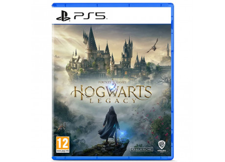 Hogwarts Legacy [PS5, русские субтитры]