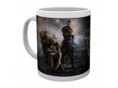 Кружка Elder Scrolls Online - Morrowind Mug, 300ml