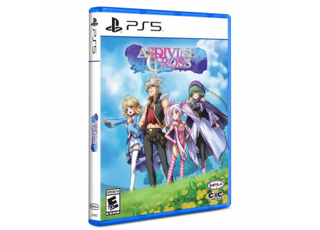Asdivine Cross (Limited Run) [PS5, английская версия]
