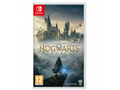 Hogwarts Legacy [Nintendo Switch, русские субтитры]