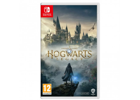 Hogwarts Legacy [Nintendo Switch, русские субтитры]