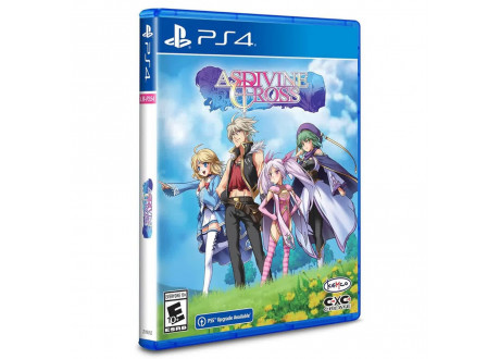 Asdivine Cross (Limited Run) [PS4, английская версия]