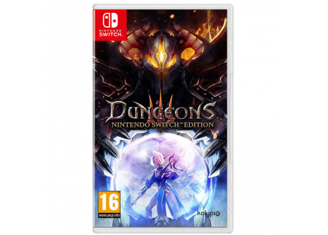 Dungeon 3 - Nintendo Switch Edition [Nintendo Switch, русская версия]