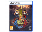 Double Dragon Gaiden Rise of the Dragons [PS5, английская версия]