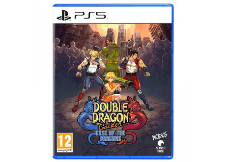 Double Dragon Gaiden Rise of the Dragons [PS5, английская версия]