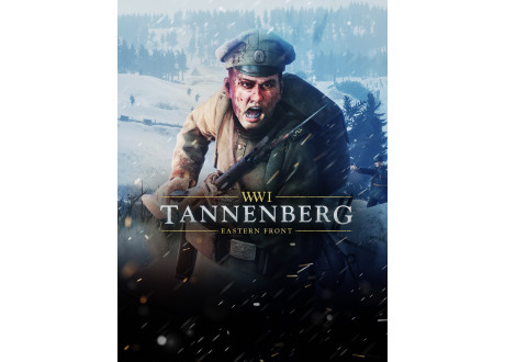WWI Tannenberg: Eastern Front [PS4, русские субтитры]