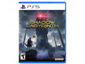 Shadow Labyrinth [PS5, английская версия]