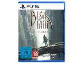Bleak Faith: Forsaken [PS5, английская версия]