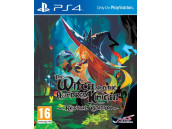 The Witch and the Hungred Knight - Revival Edition [PS4, английская версия]