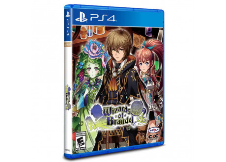 Wizards of Brandel (Limited Run) [PS4, английская версия]