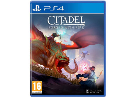 Citadel: Forget With Fire [PS4, английская версия]