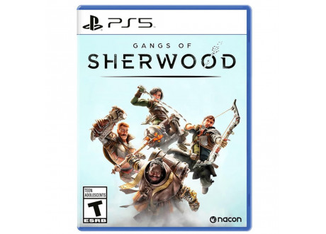 Gangs of Sherwood [PS5, английская версия]